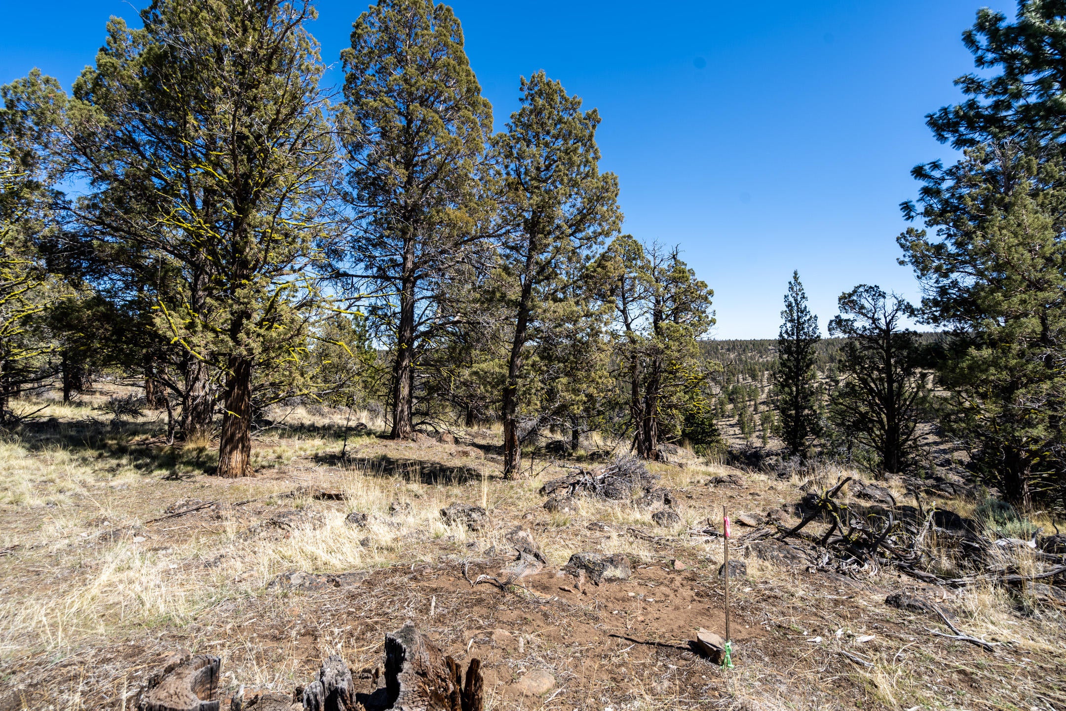 Lot 12 Mountain View Road Sisters, OR 97759 - Photo 6 of 29 2021_04_09_lot12_mountain_view_rd_sister