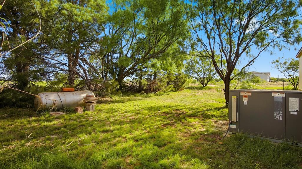 10902 County Road 414 Merkel, TX 79536 - Photo 7 of 26 a picture of trees