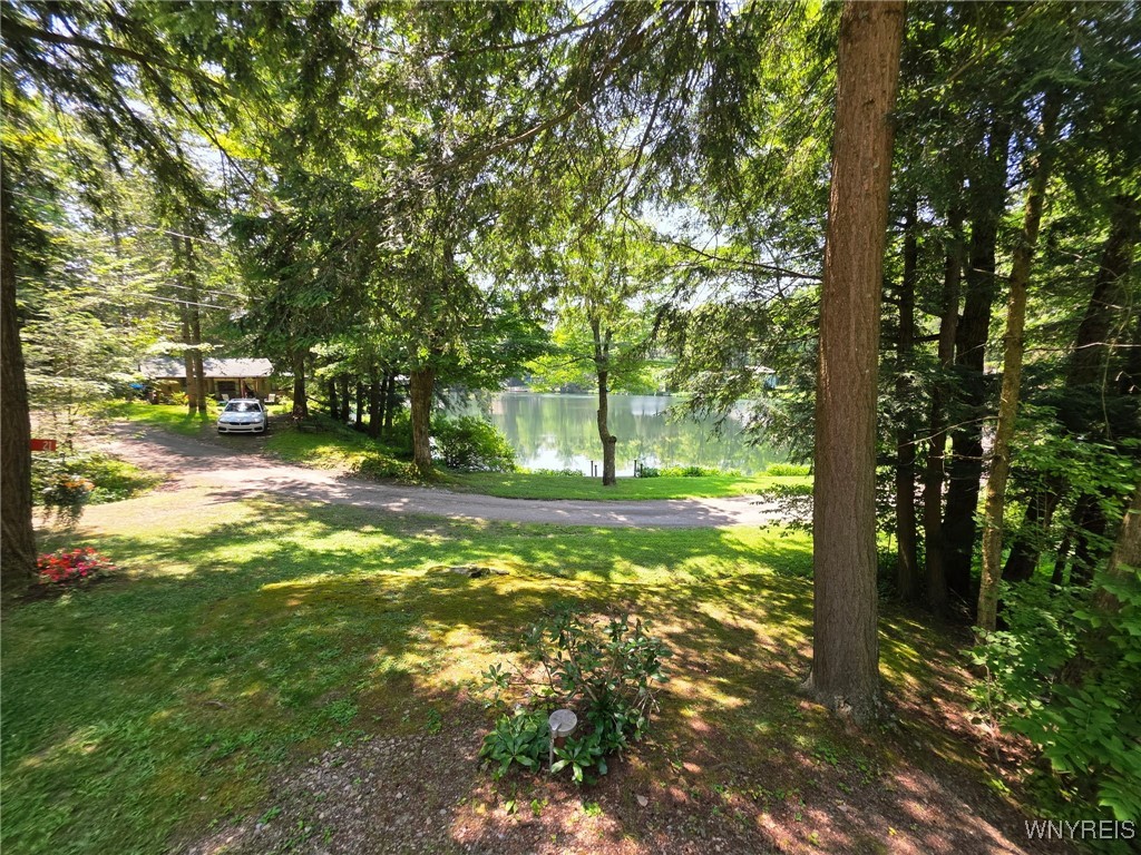 5419 Narrows Rod & Gun Club Road, Unit 21 Little Valley, NY 14755 - Photo 35 of 50