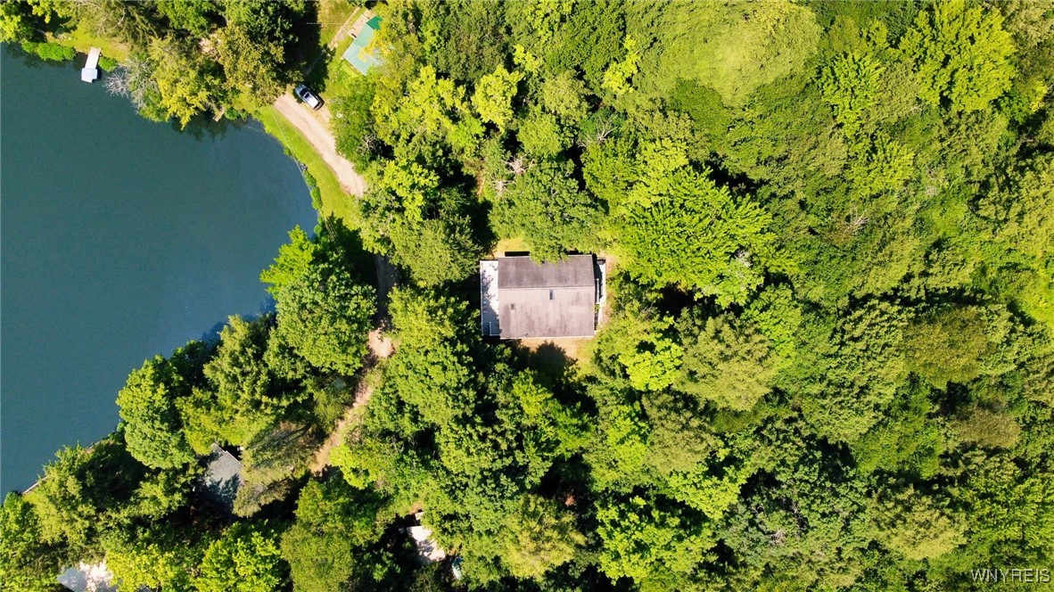 5419 Narrows Rod & Gun Club Road, Unit 21 Little Valley, NY 14755 - Photo 45 of 50