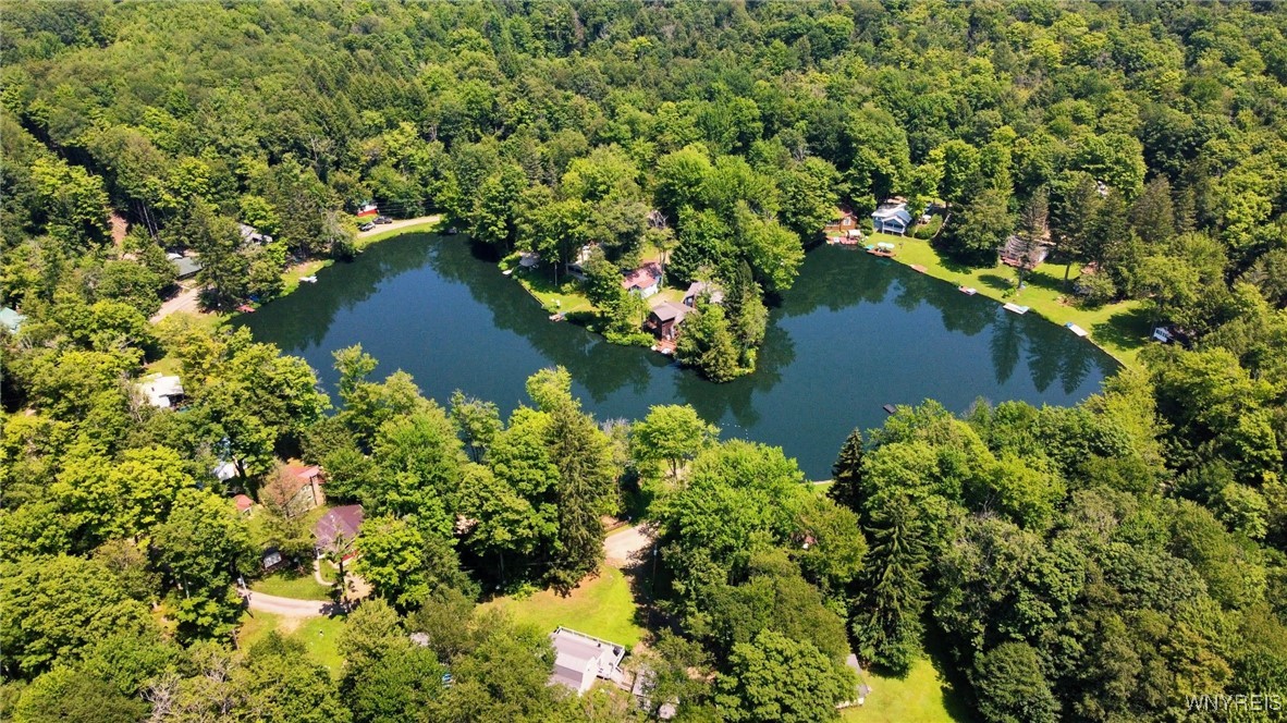 5419 Narrows Rod & Gun Club Road, Unit 21 Little Valley, NY 14755 - Photo 46 of 50