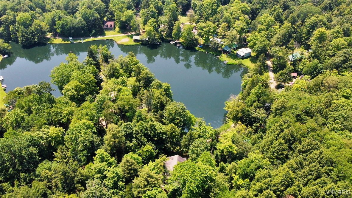 5419 Narrows Rod & Gun Club Road, Unit 21 Little Valley, NY 14755 - Photo 47 of 50