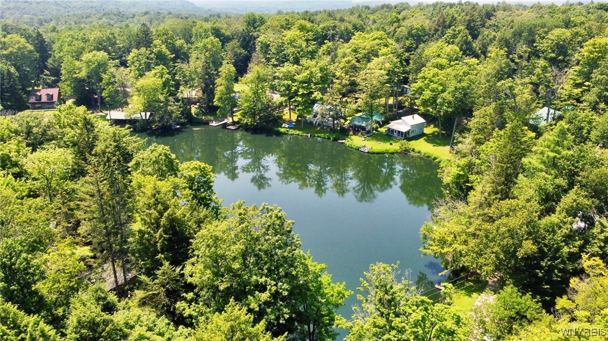 5419 Narrows Rod & Gun Club Road, Unit 21 Little Valley, NY 14755 - Photo 48 of 50