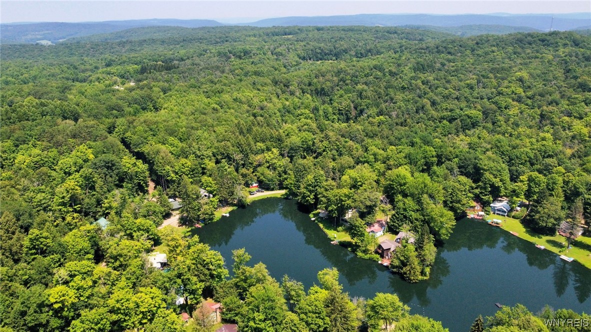 5419 Narrows Rod & Gun Club Road, Unit 21 Little Valley, NY 14755 - Photo 49 of 50