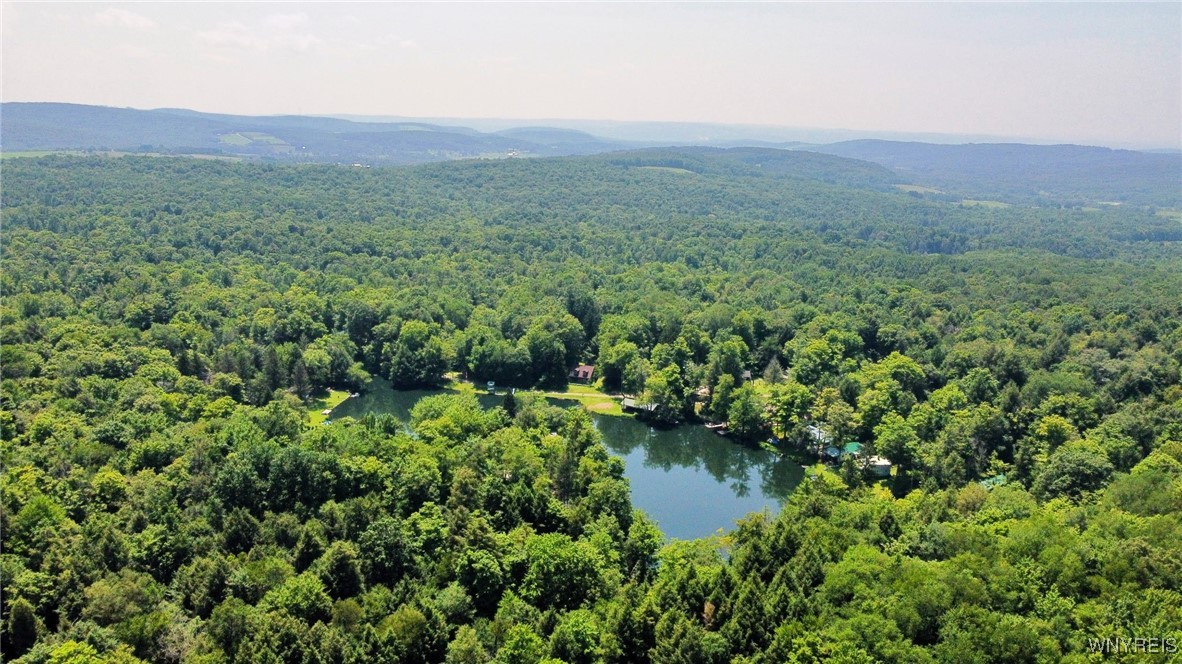 5419 Narrows Rod & Gun Club Road, Unit 21 Little Valley, NY 14755 - Photo 50 of 50