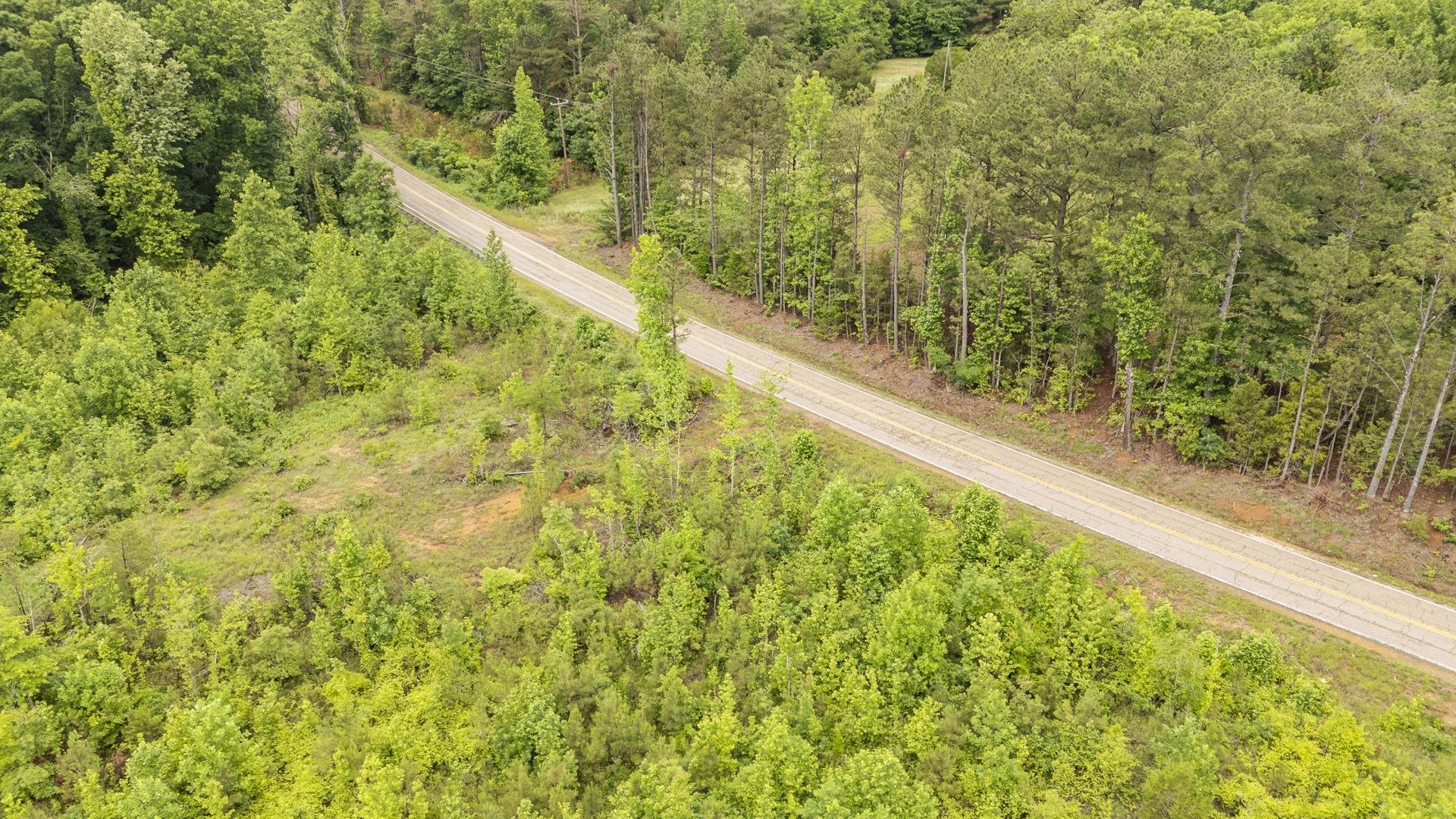 0 Leapwood Enville Road Adamsville, TN 38310 - Photo 33 of 38 a view of a forest from a window