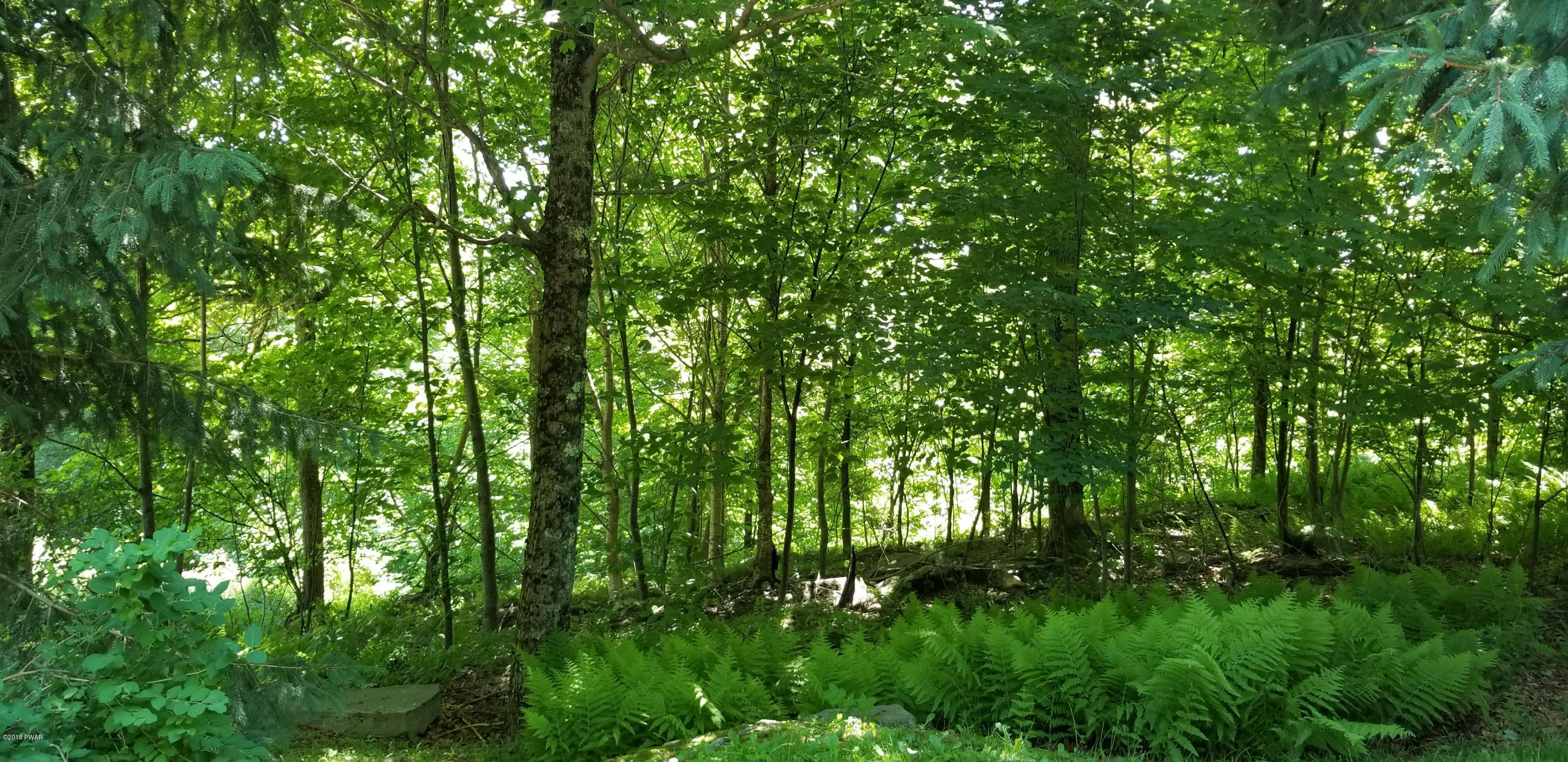 Lot 63 Old Woods Road Equinunk, PA 18417 - Photo 26 of 63