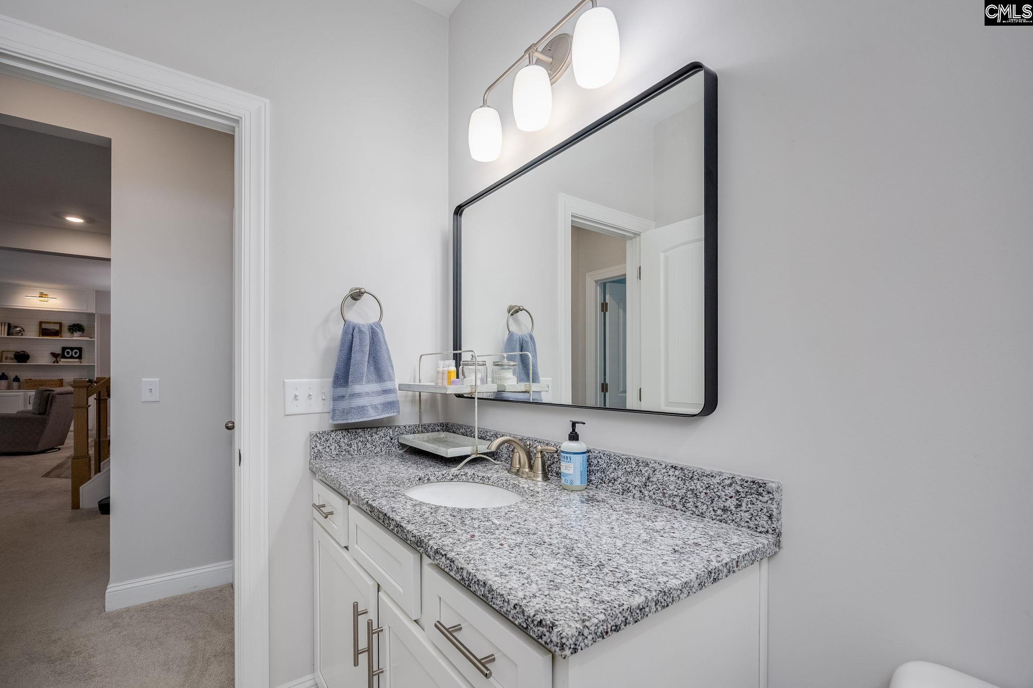 163 Highgate Lane Chapin, SC 29036 - Photo 41 of 59