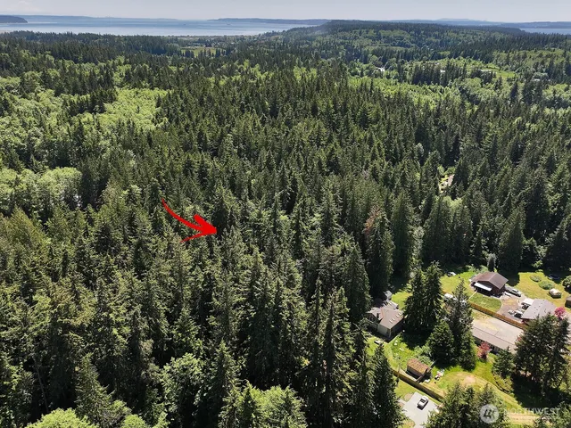 an aerial view of residential houses with outdoor space and trees