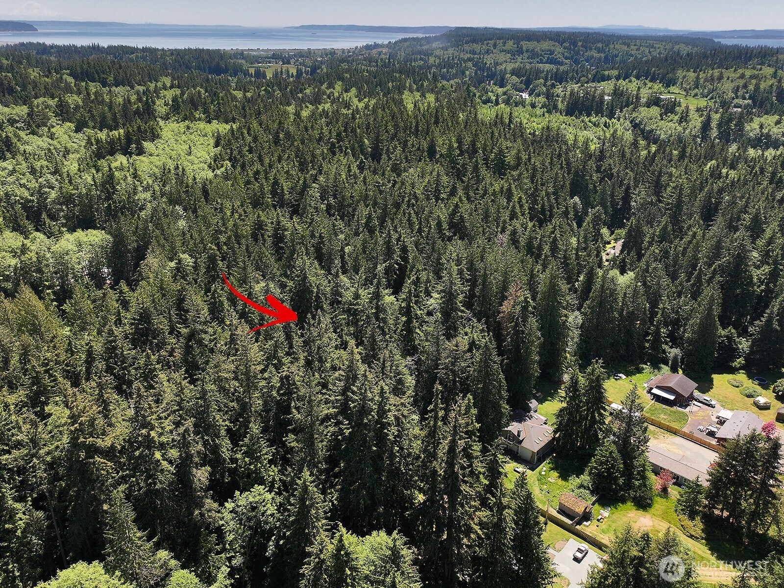 -xxx East Harbor Road Freeland, WA 98249 - Photo 17 of 29 an aerial view of residential houses with outdoor space and trees