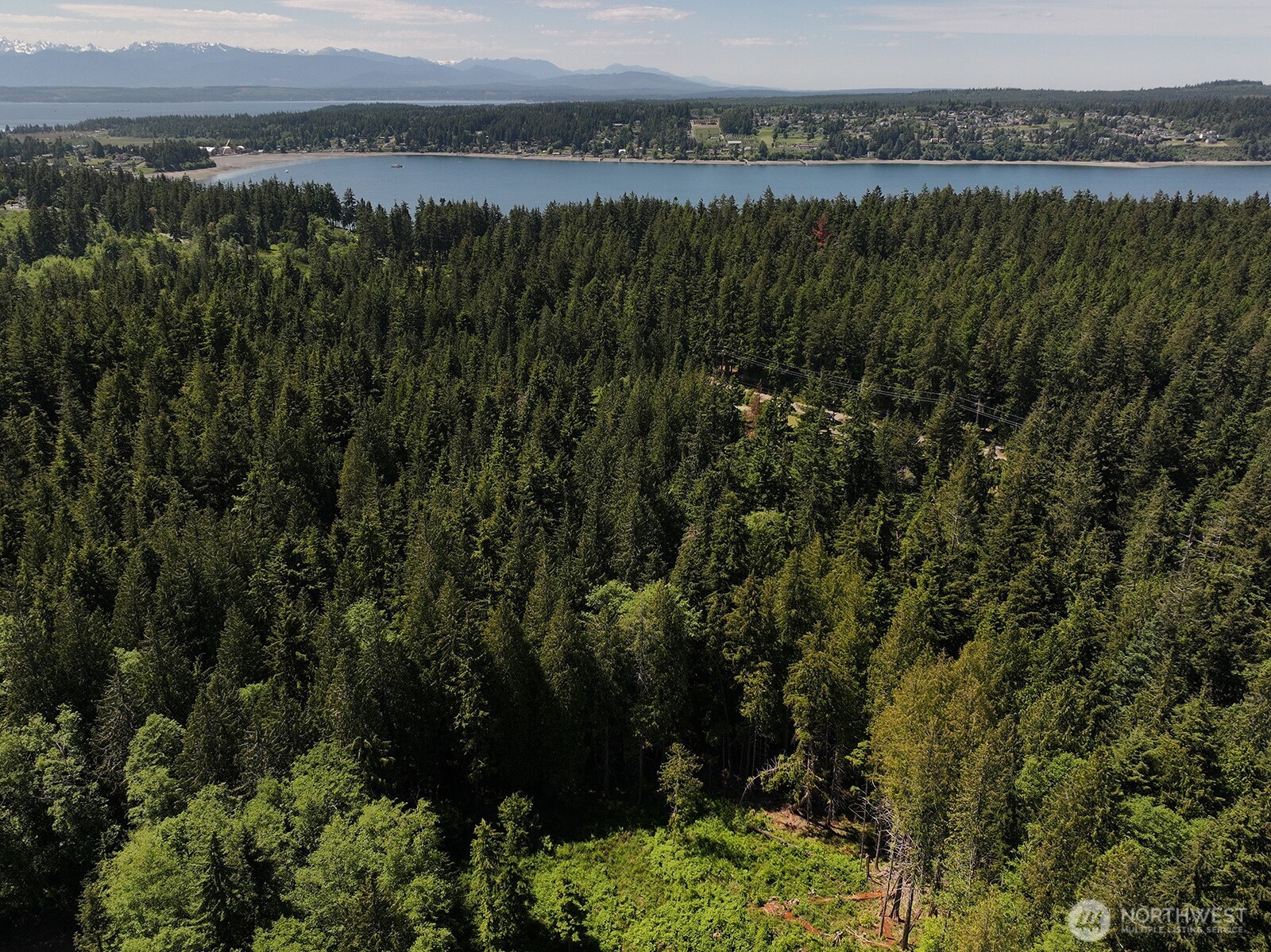 -xxx East Harbor Road Freeland, WA 98249 - Photo 20 of 29 a view of a lake with a mountain in the background