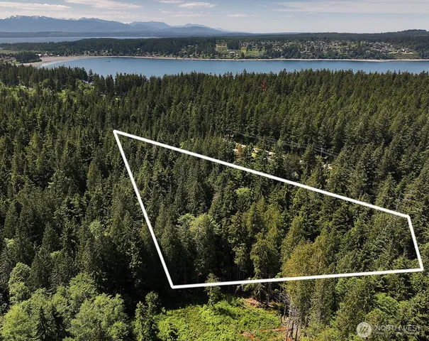 a view of lake with green space