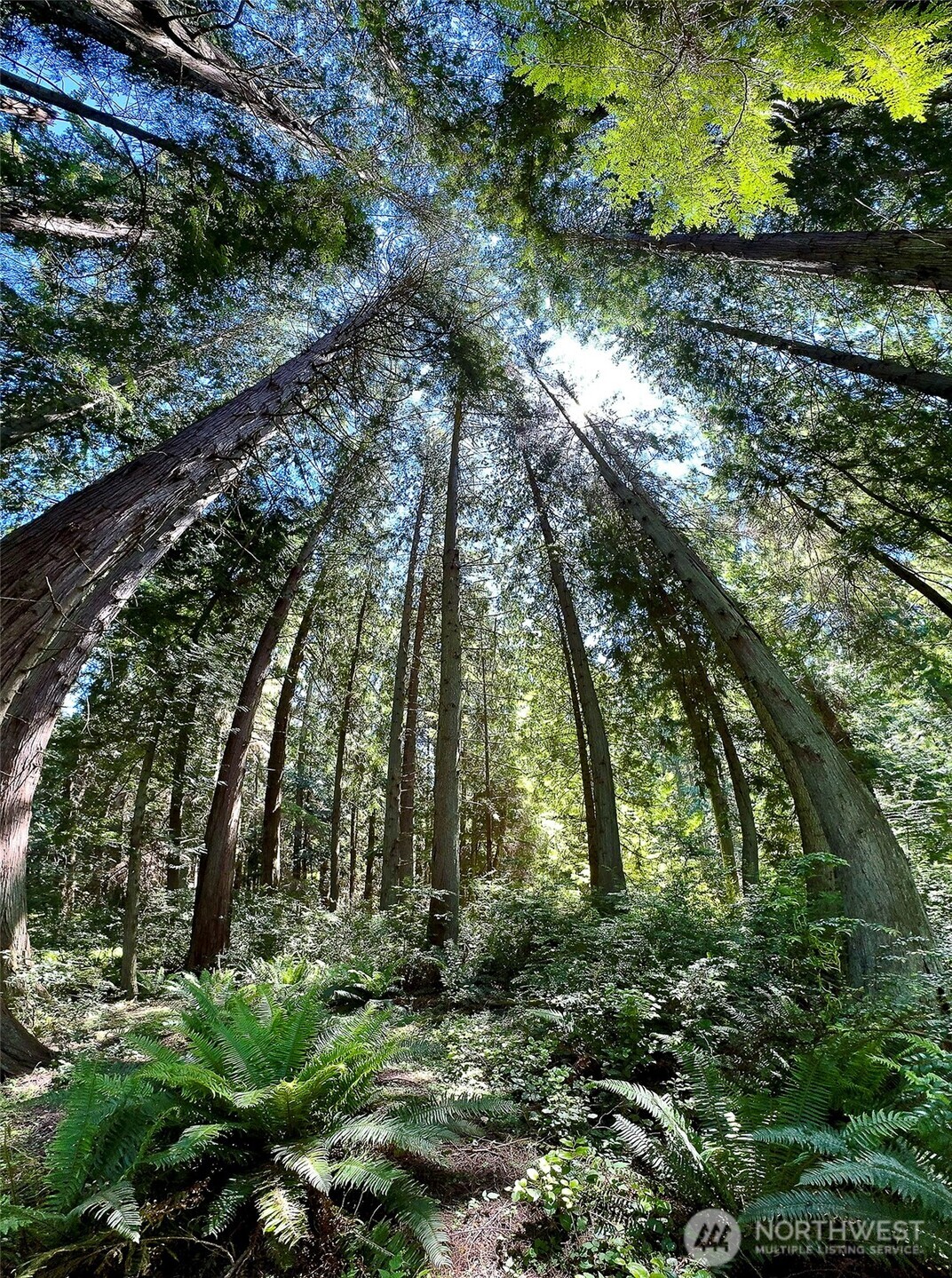 -xxx East Harbor Road Freeland, WA 98249 - Photo 28 of 29 a view of outdoor space and green space