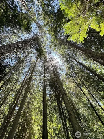 $195,000 | -xxx East Harbor Road, Freeland, WA 98249