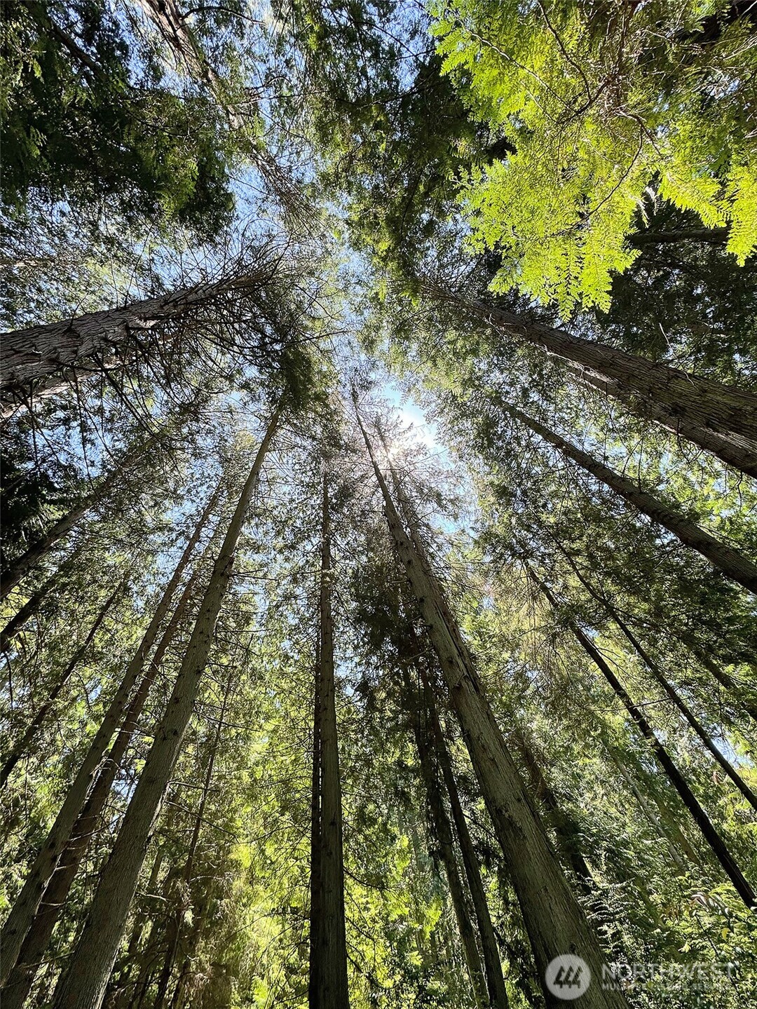 -xxx East Harbor Road Freeland, WA 98249 - Photo 29 of 29 a view of a yard