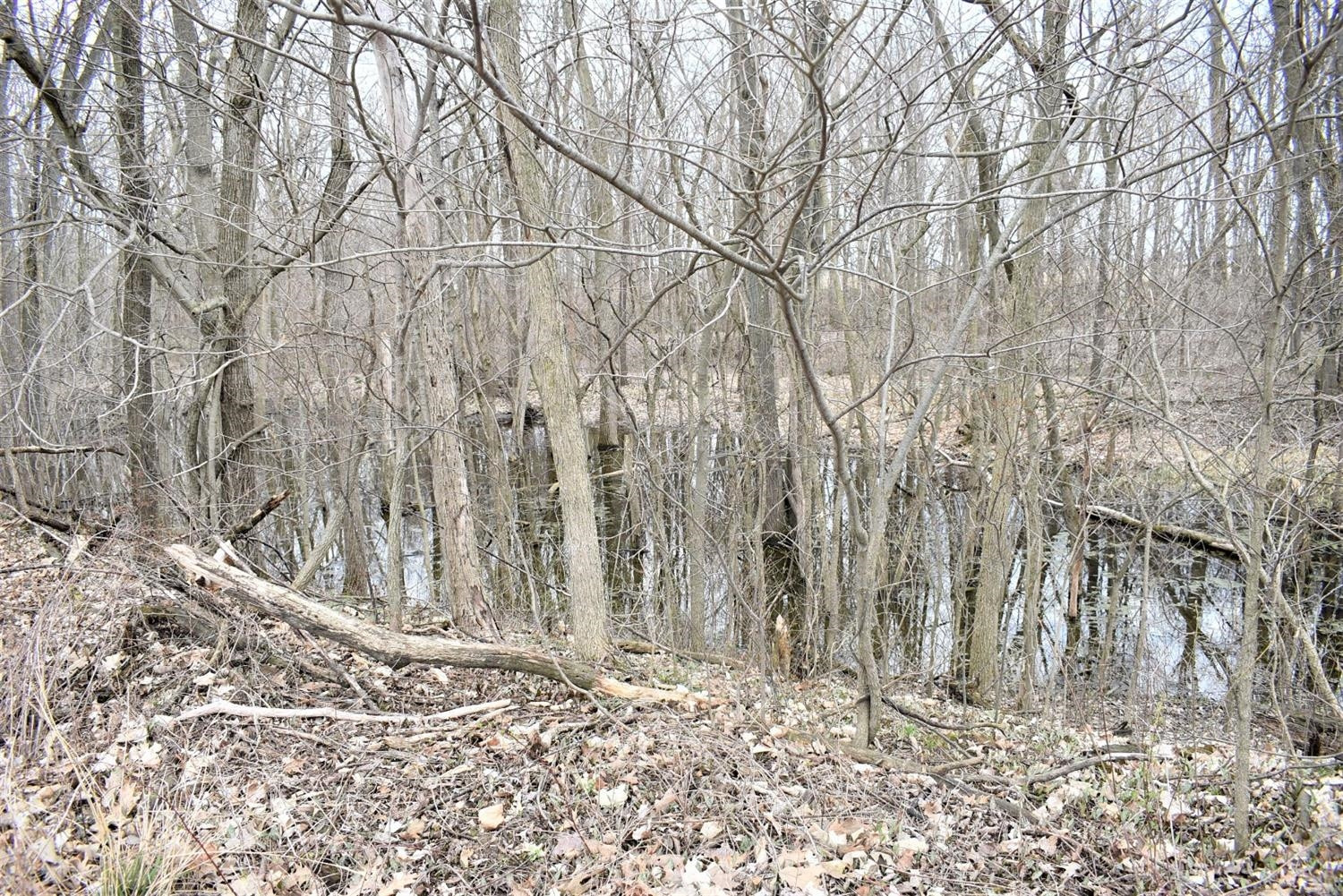 1 Wilcox Road Dundee, MI 48131 - Photo 8 of 10 Photo 8