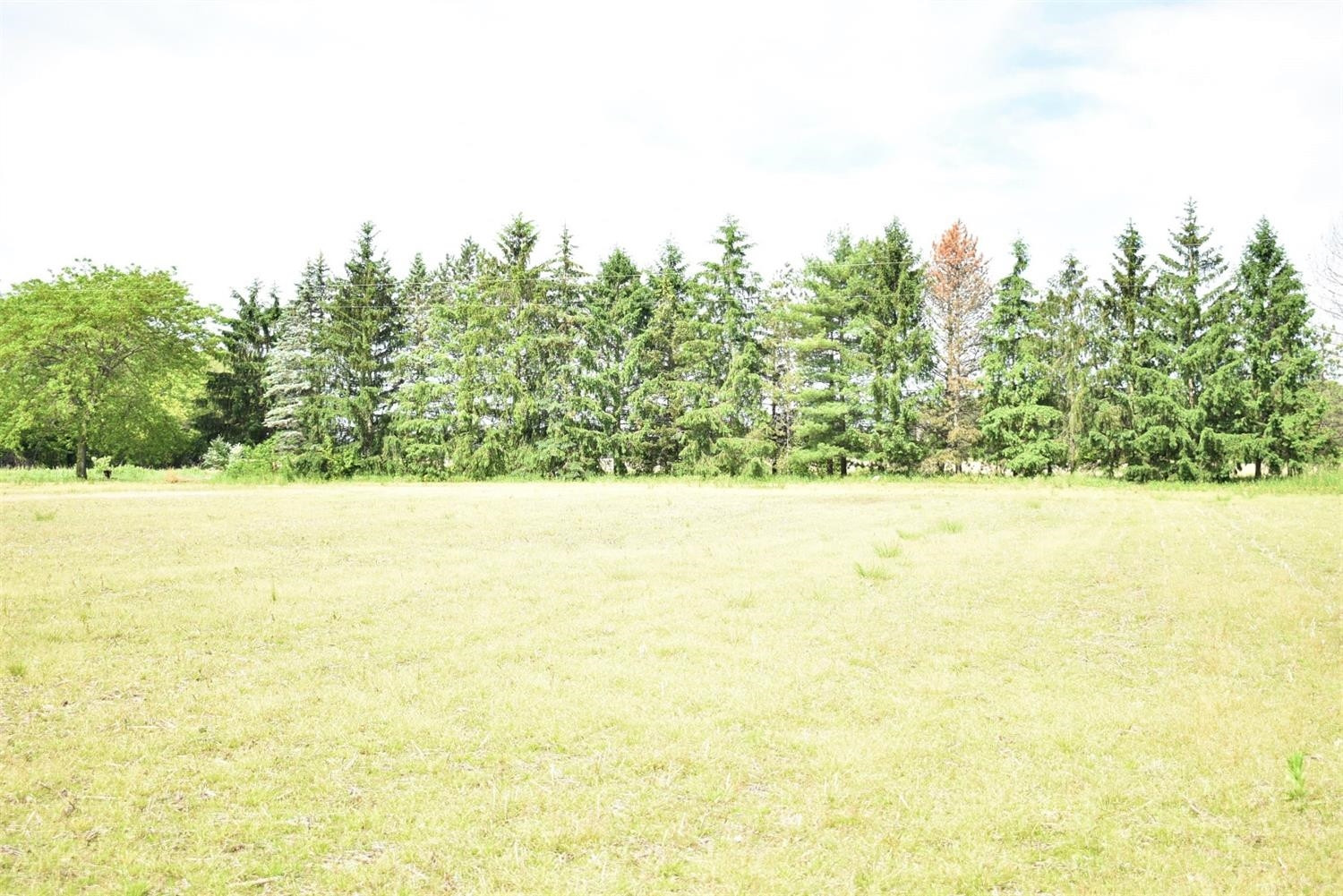 1 Wilcox Road Dundee, MI 48131 - Photo 9 of 10 Photo 9