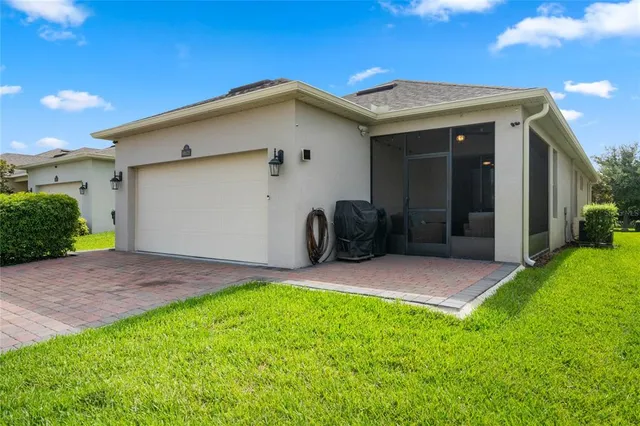 a view of a big yard with plants and large trees