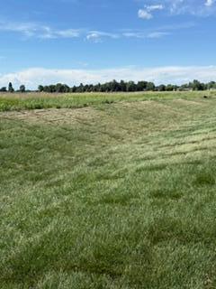 833 3rd Avenue Southwest Rice, MN 56367 - Photo 25 of 27