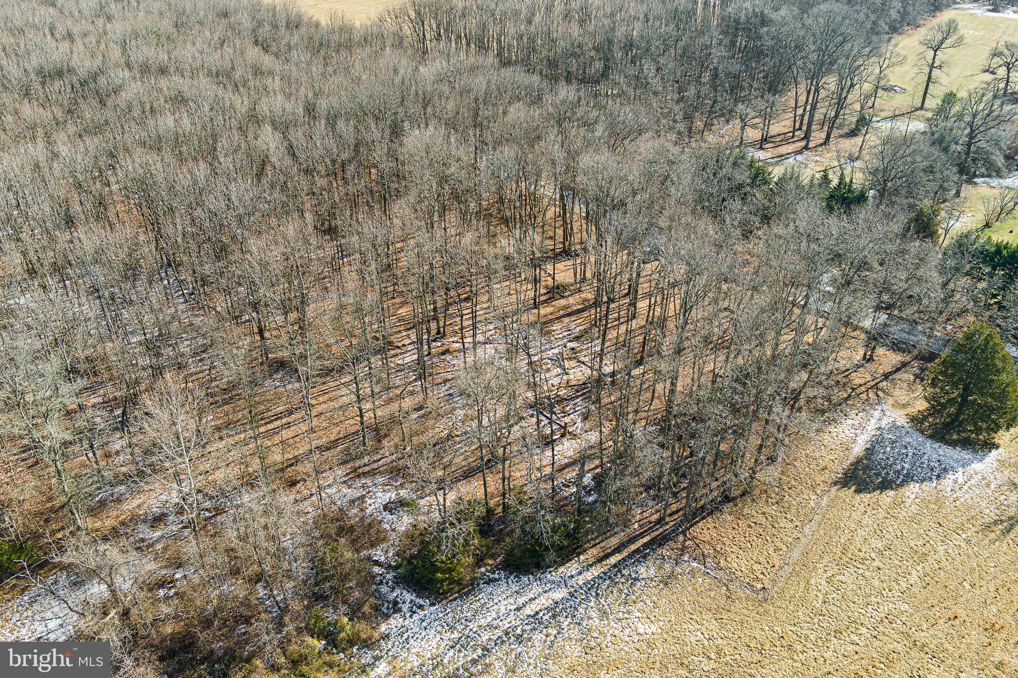 0 Leeds Road Elkton, MD 21921 - Photo 3 of 12 Gallery Image 3