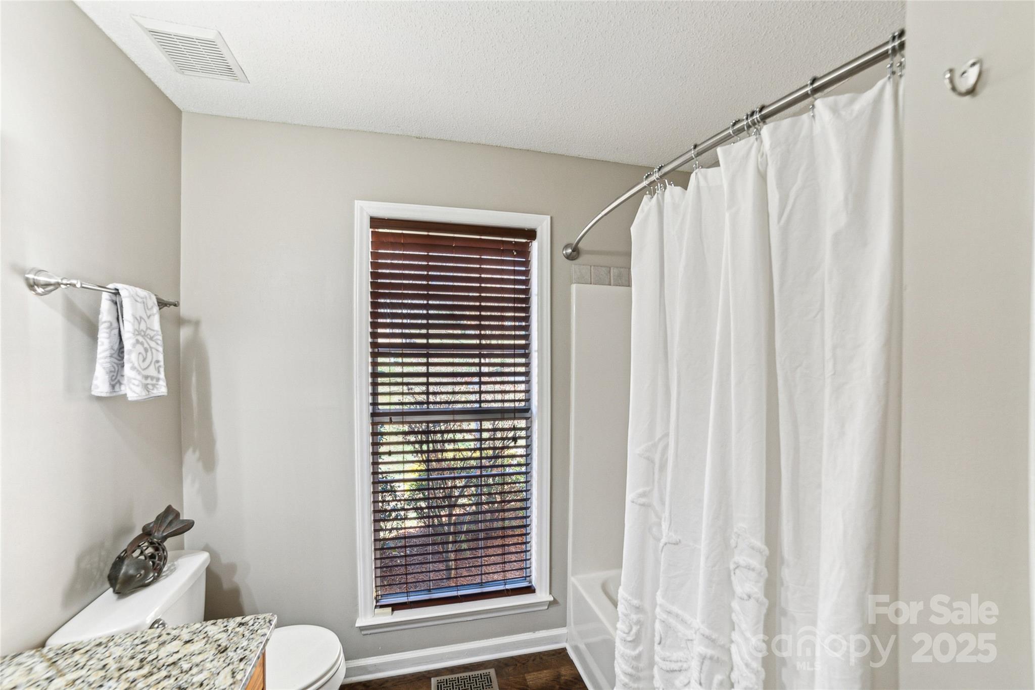 214 Bubbling Well Road Denver, NC 28037 - Photo 17 of 26 Gallery Image 17