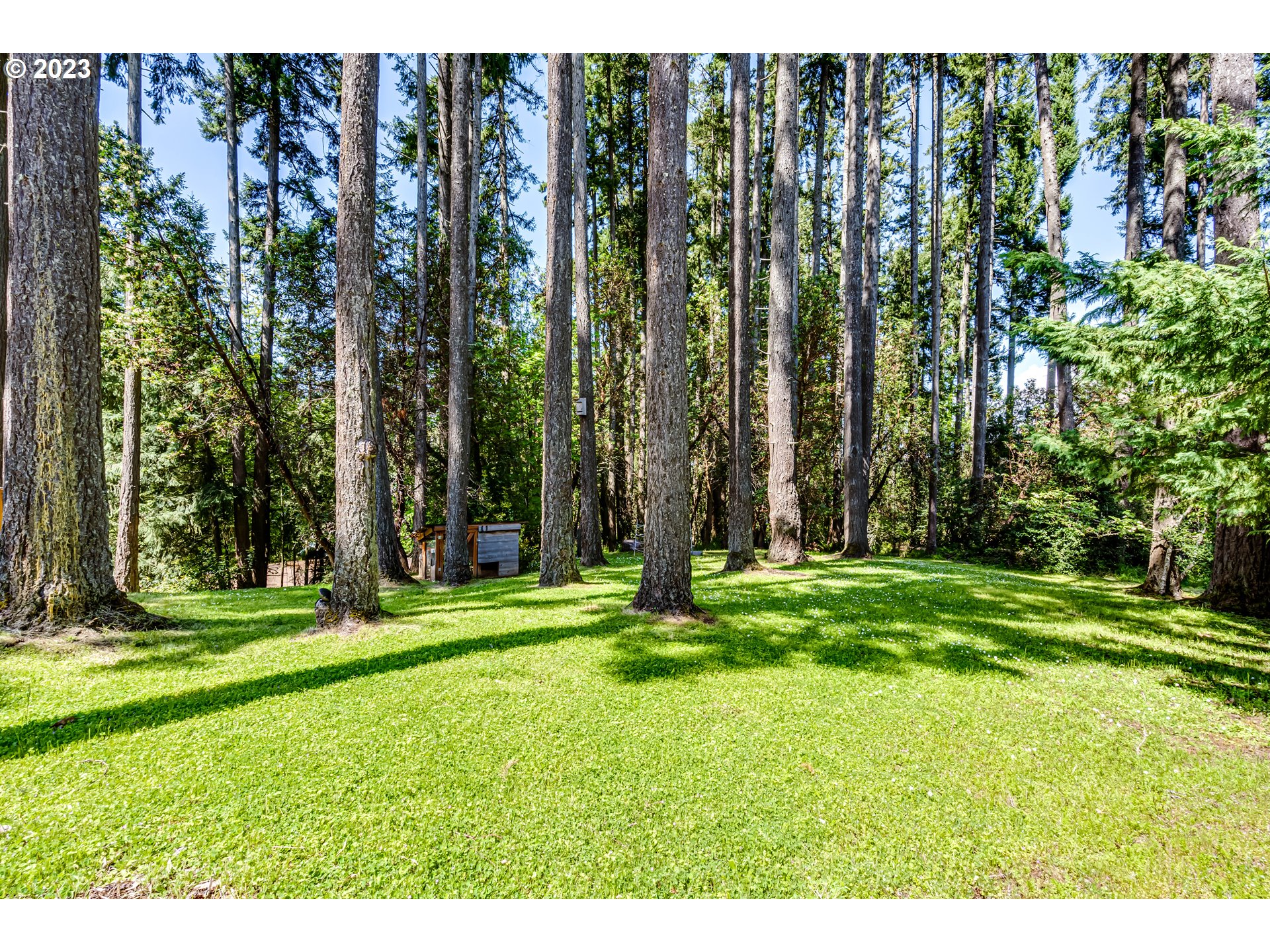 Agate Street Eugene, OR 97405 - Photo 2 of 7