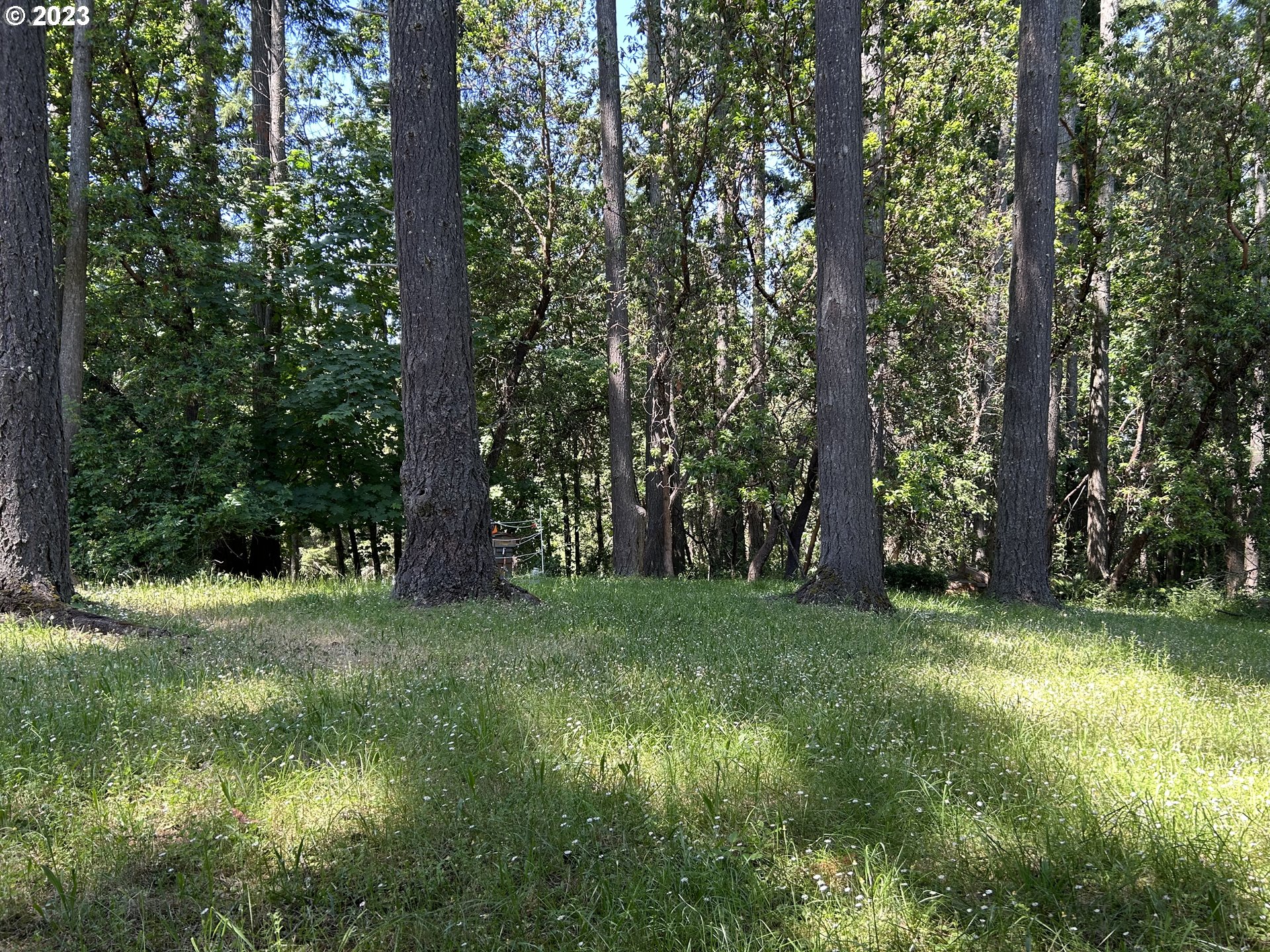 Agate Street Eugene, OR 97405 - Photo 5 of 7