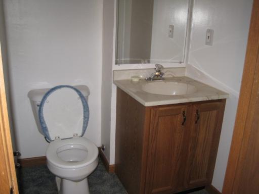 330 9th Avenue, Unit 330 Rochelle, IL 61068 - Photo 10 of 13 a bathroom with a sink toilet and a mirror