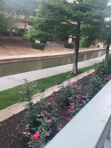 a view of a garden with a flower garden