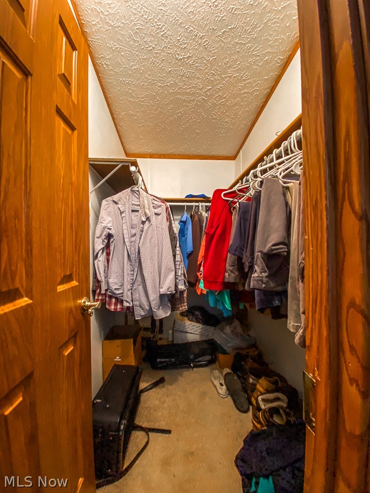 17499 Kinsman Road Middlefield, OH 44062 - Photo 34 of 49 Walk in closet with vaulted ceiling and carpet