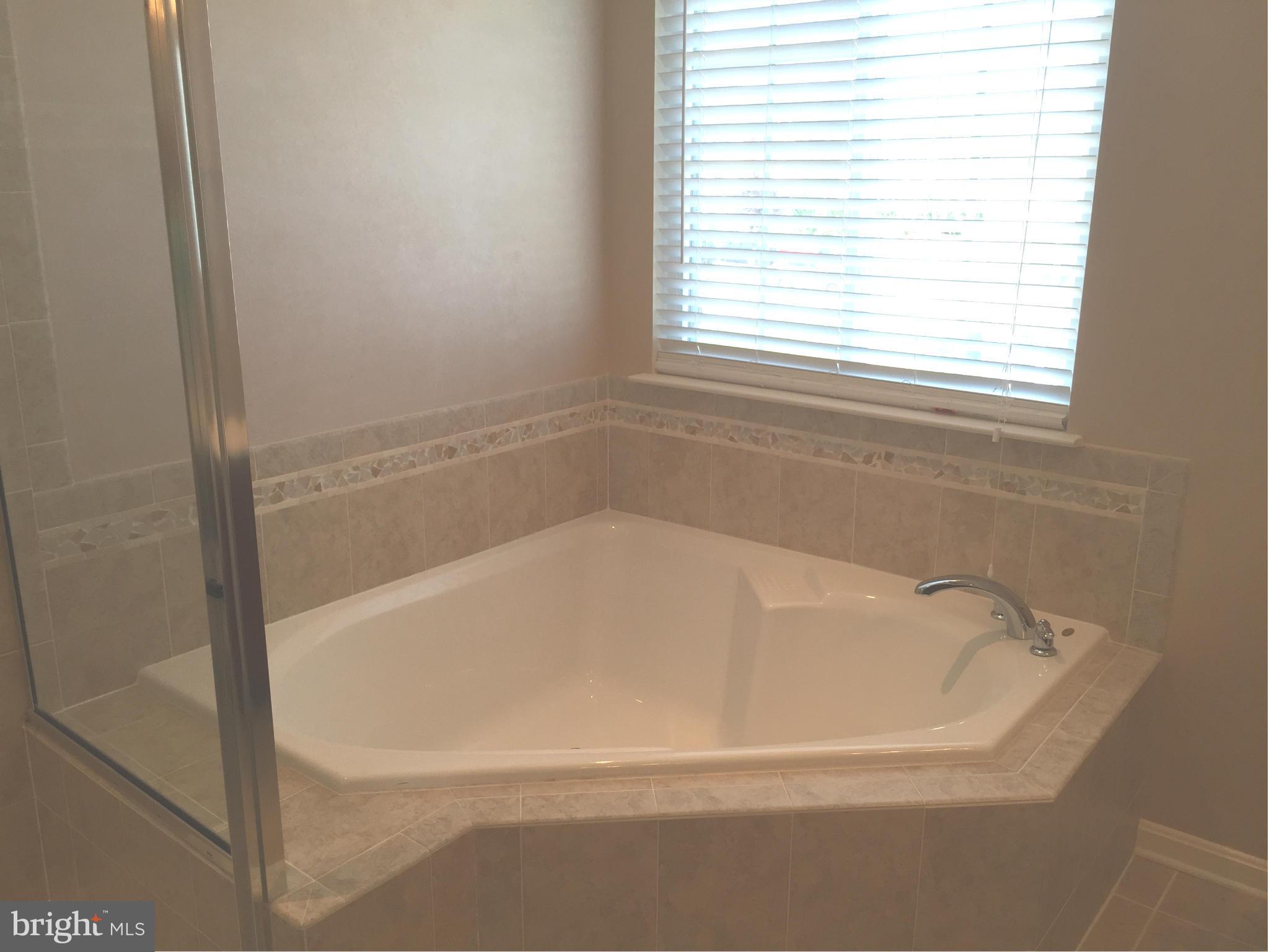 26 Riparian Lane Ranson, WV 25438 - Photo 17 of 28 a white bath tub sitting next to a window