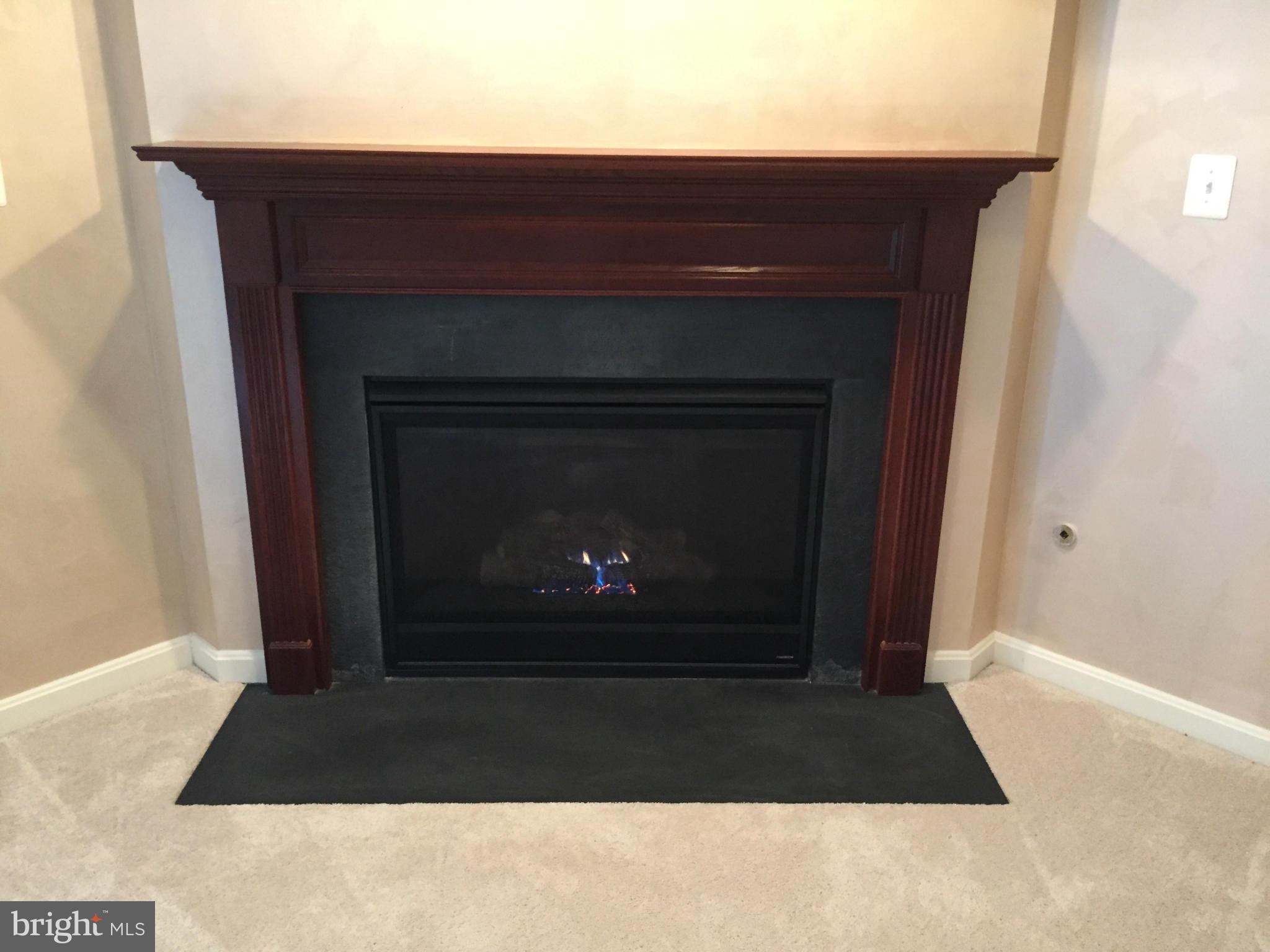 26 Riparian Lane Ranson, WV 25438 - Photo 19 of 28 a living room with a fireplace