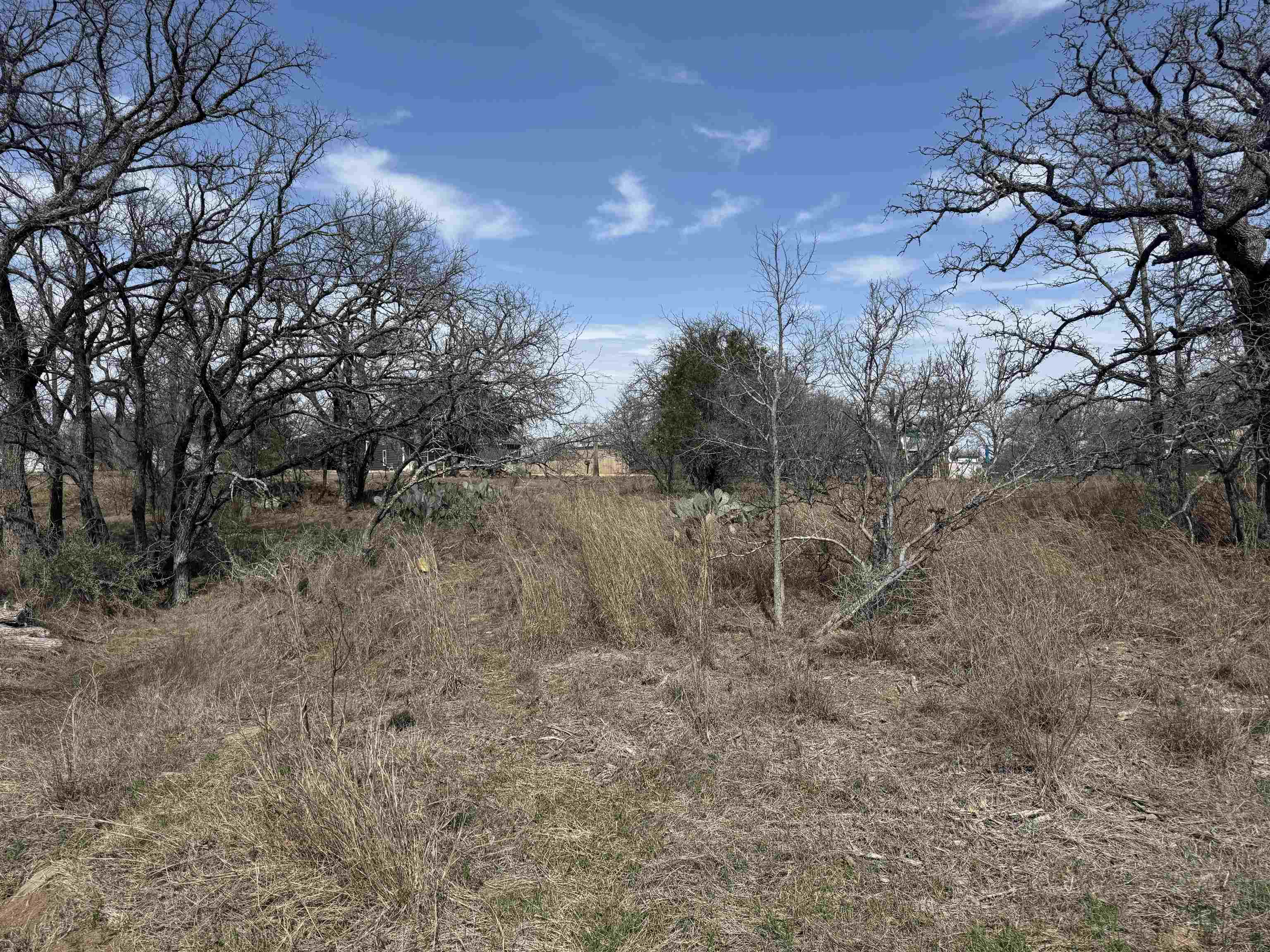 Lot 78 Ridgemont Drive Kingsland, TX 78639 - Photo 1 of 5 a view of a dry yard with trees