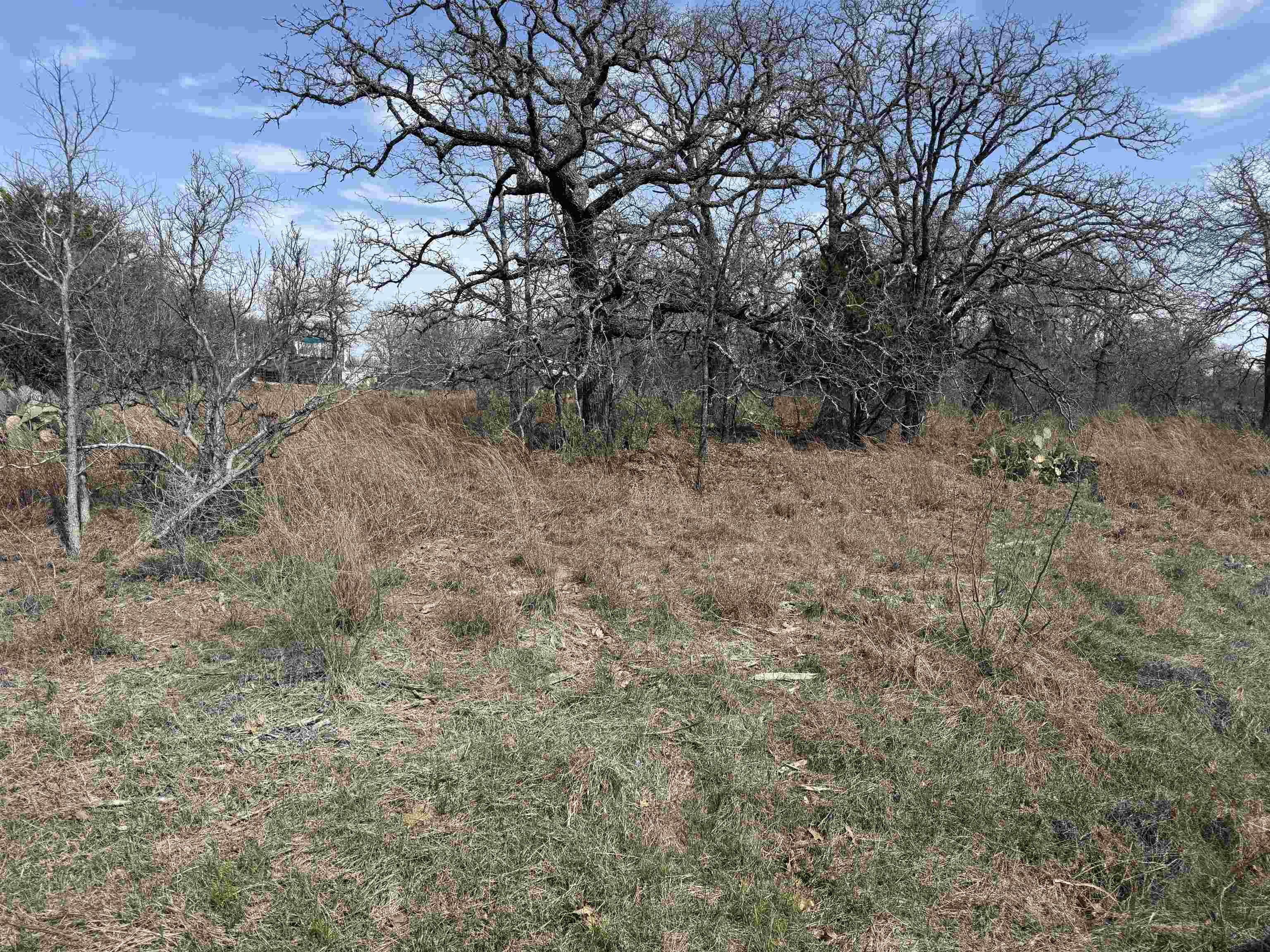 Lot 78 Ridgemont Drive Kingsland, TX 78639 - Photo 2 of 5 a view of a yard with a tree