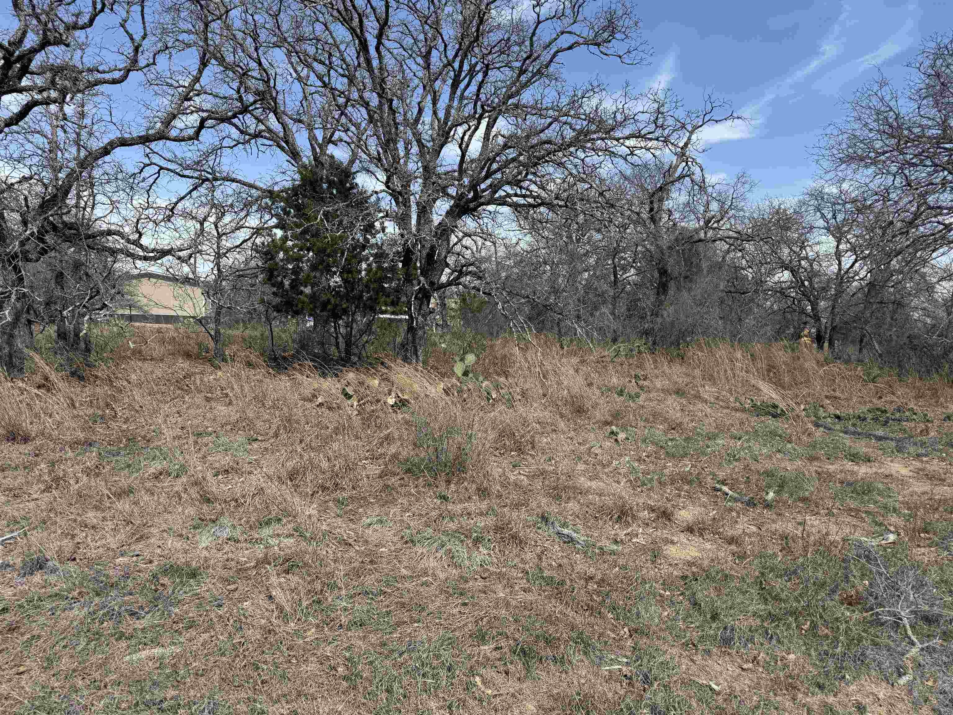 Lot 78 Ridgemont Drive Kingsland, TX 78639 - Photo 3 of 5 a view of a yard with a tree