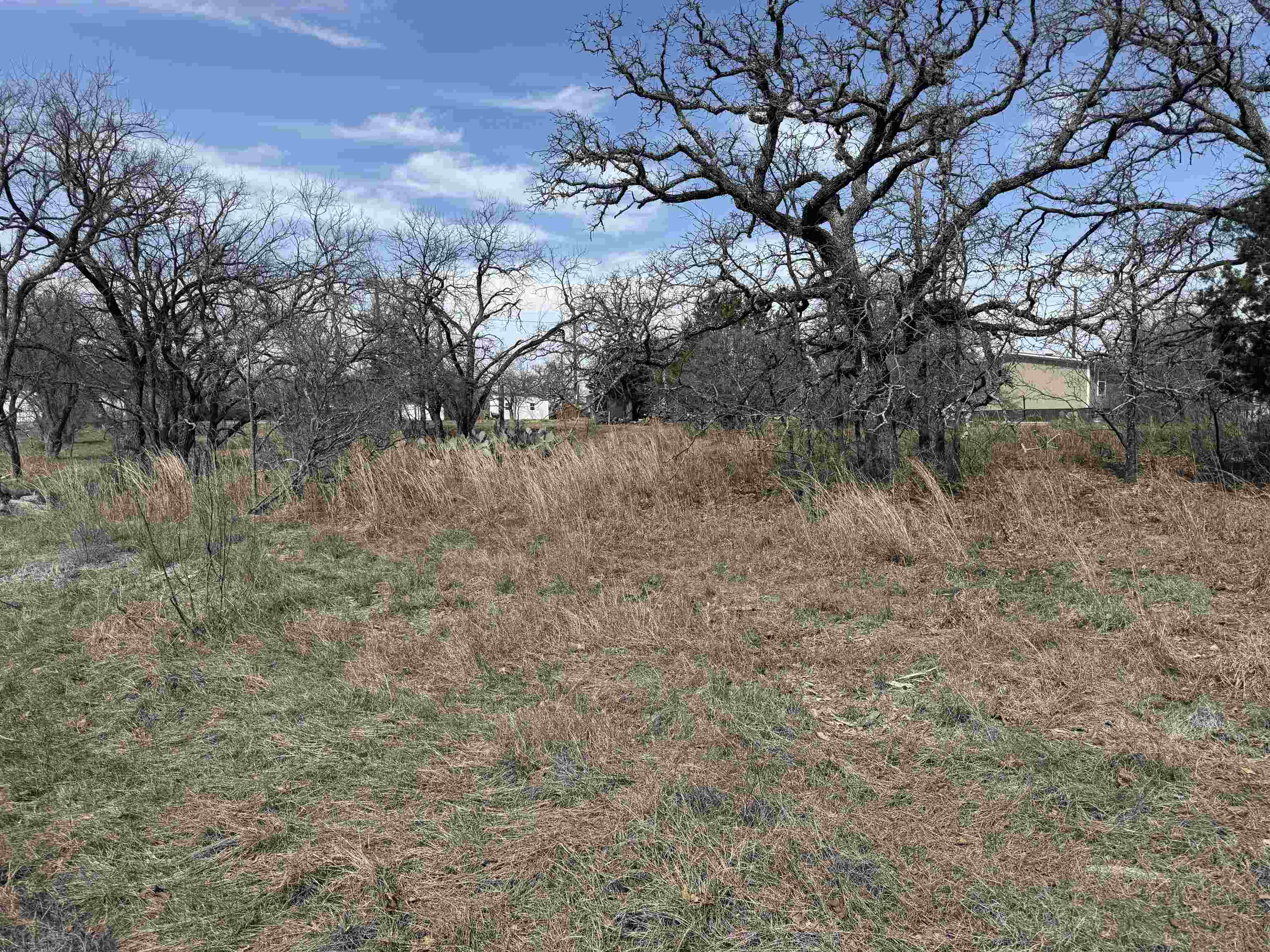 Lot 78 Ridgemont Drive Kingsland, TX 78639 - Photo 4 of 5