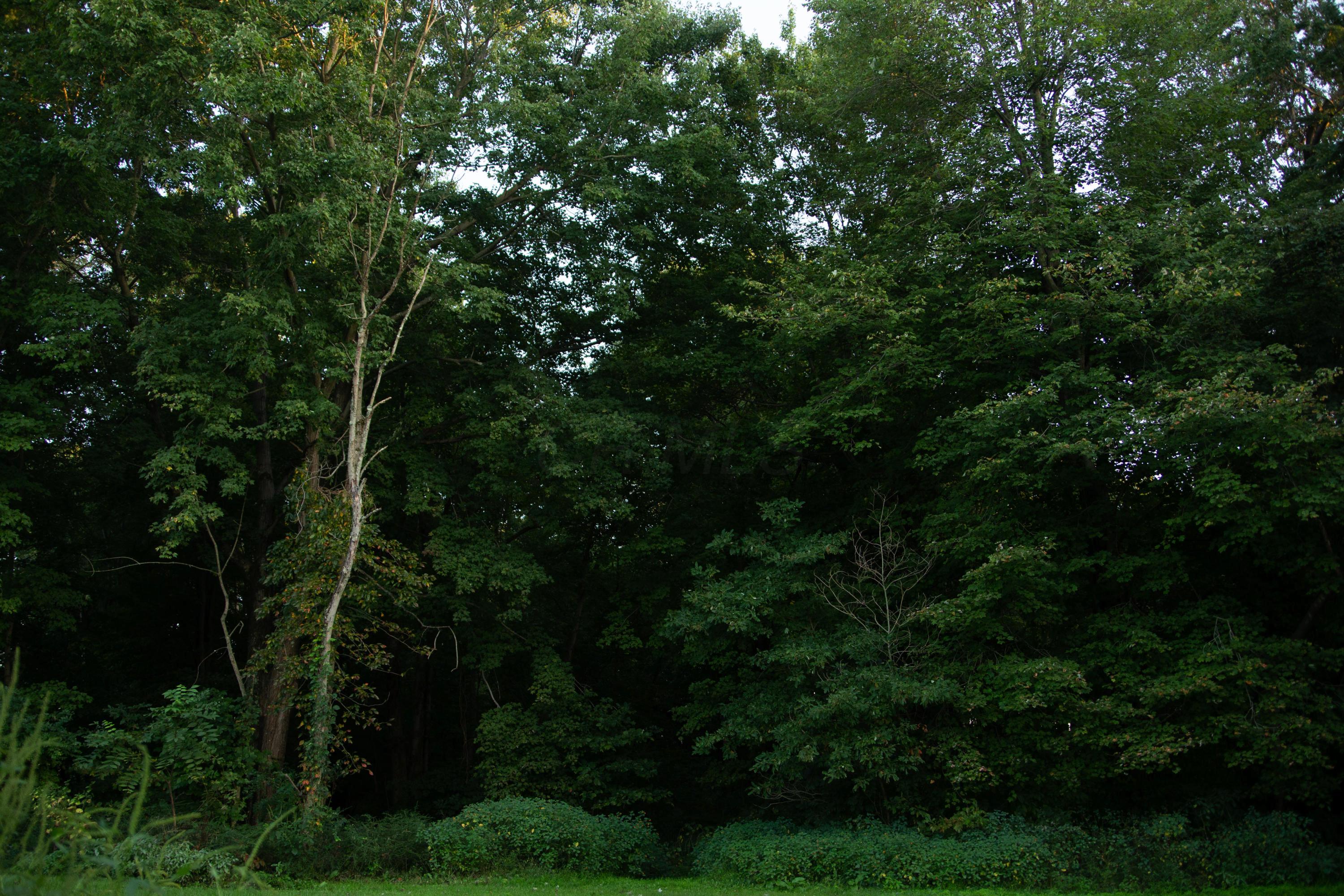 1905 Ginder Road Northwest Lancaster, OH 43130 - Photo 14 of 15 Gallery Image 14
