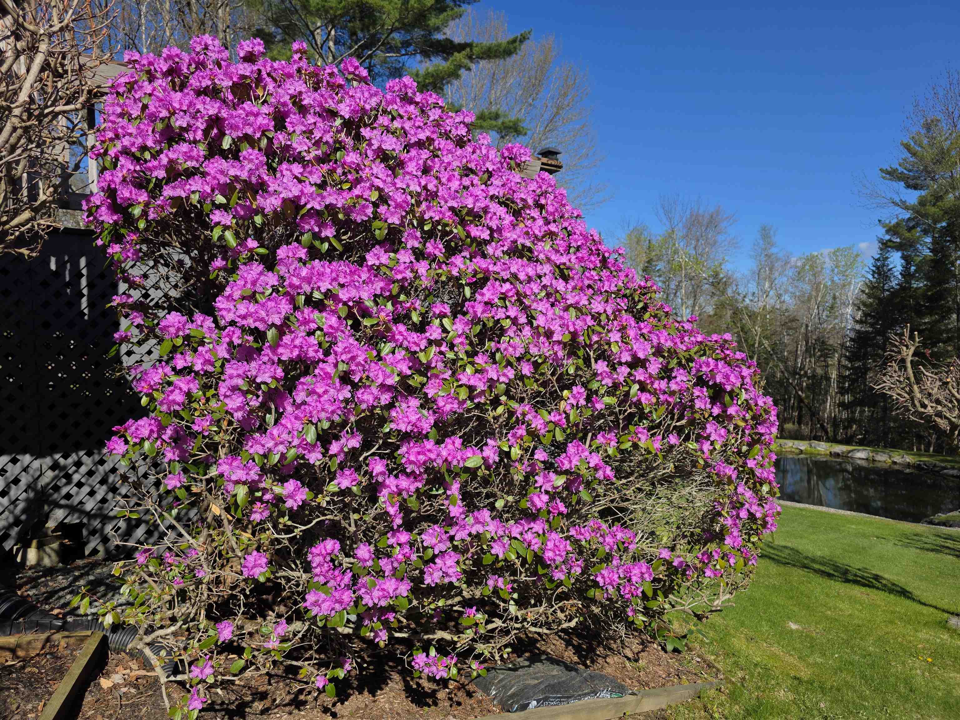 58 Barber Road Haverhill, NH 03774 - Photo 11 of 55