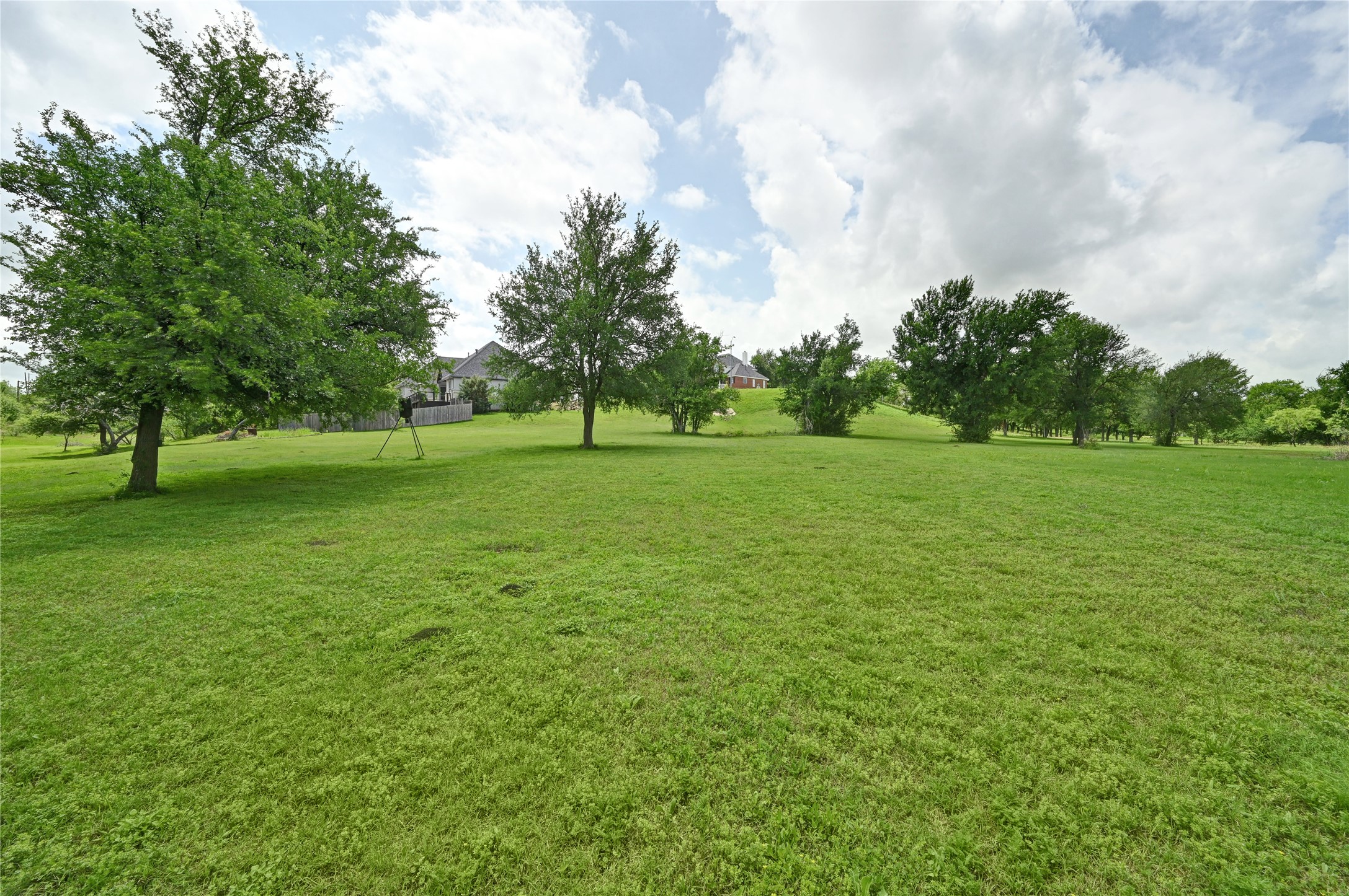 1700 Tanner Loop Taylor, TX 76574 - Photo 27 of 32 Expansive green lawn with mature trees and a gently sloping terrain