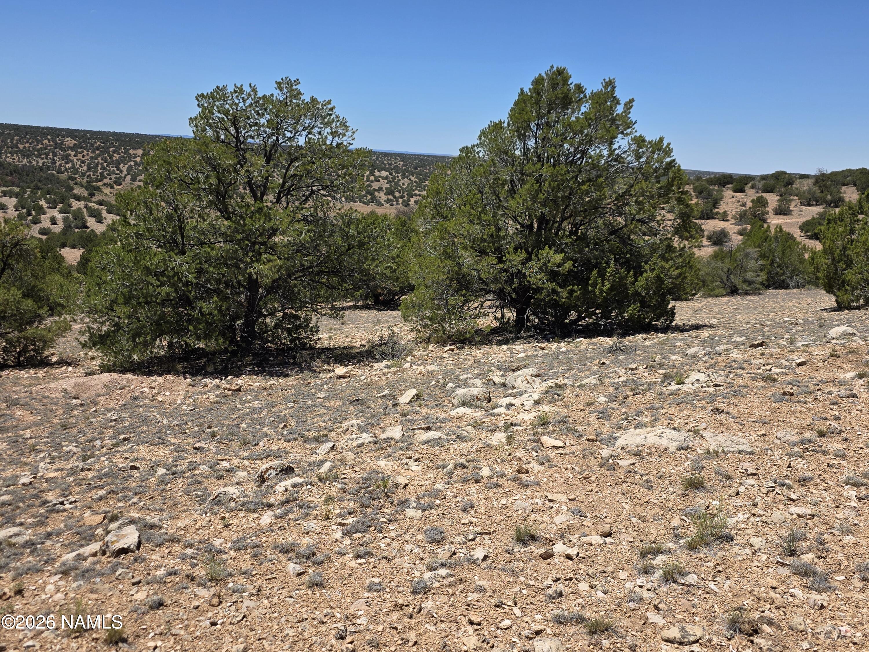 9966 Northstar Road Williams, AZ 86046 - Photo 23 of 37 1000065035