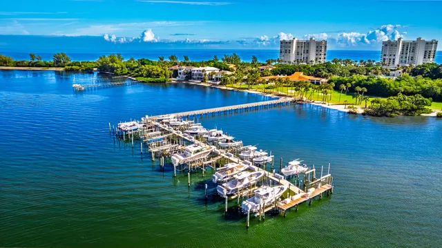 a green field with lots of tress in it
