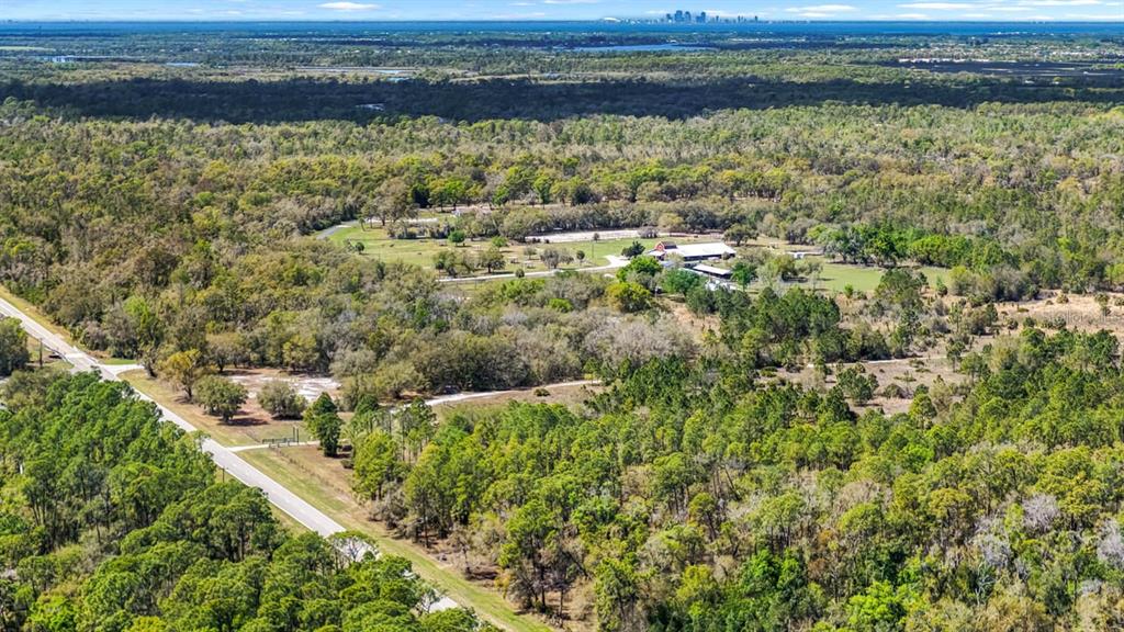 3106 Timberlee Road Wimauma, FL 33598 - Photo 19 of 50