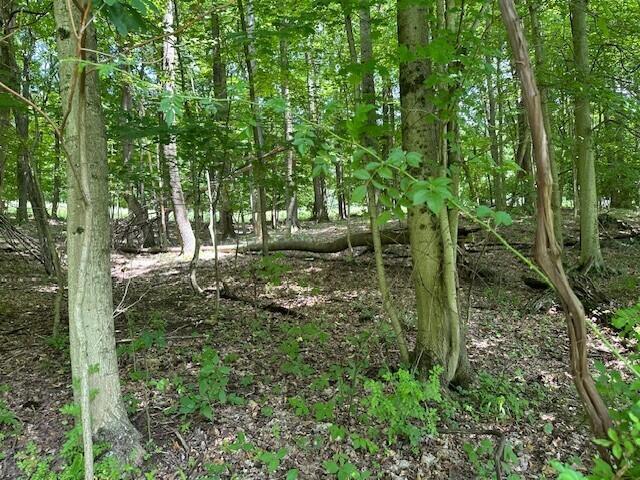 7751 Mulberry Road Heath, OH 43056 - Photo 53 of 70 WOODED TRAILS