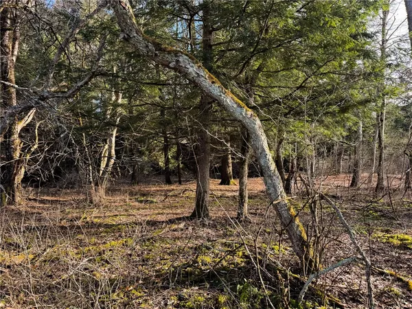 $165,000 | 16 County Highway, Burlington Flats, NY 13315