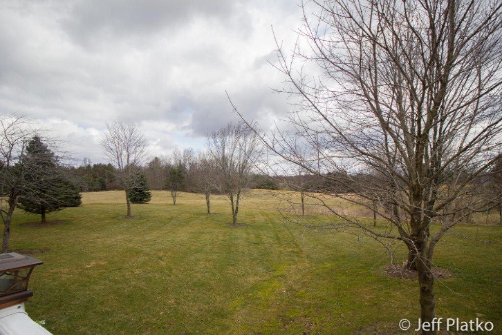 11016 West S County Line Road Greenville, MI 48838 - Photo 31 of 40 Jeff-33