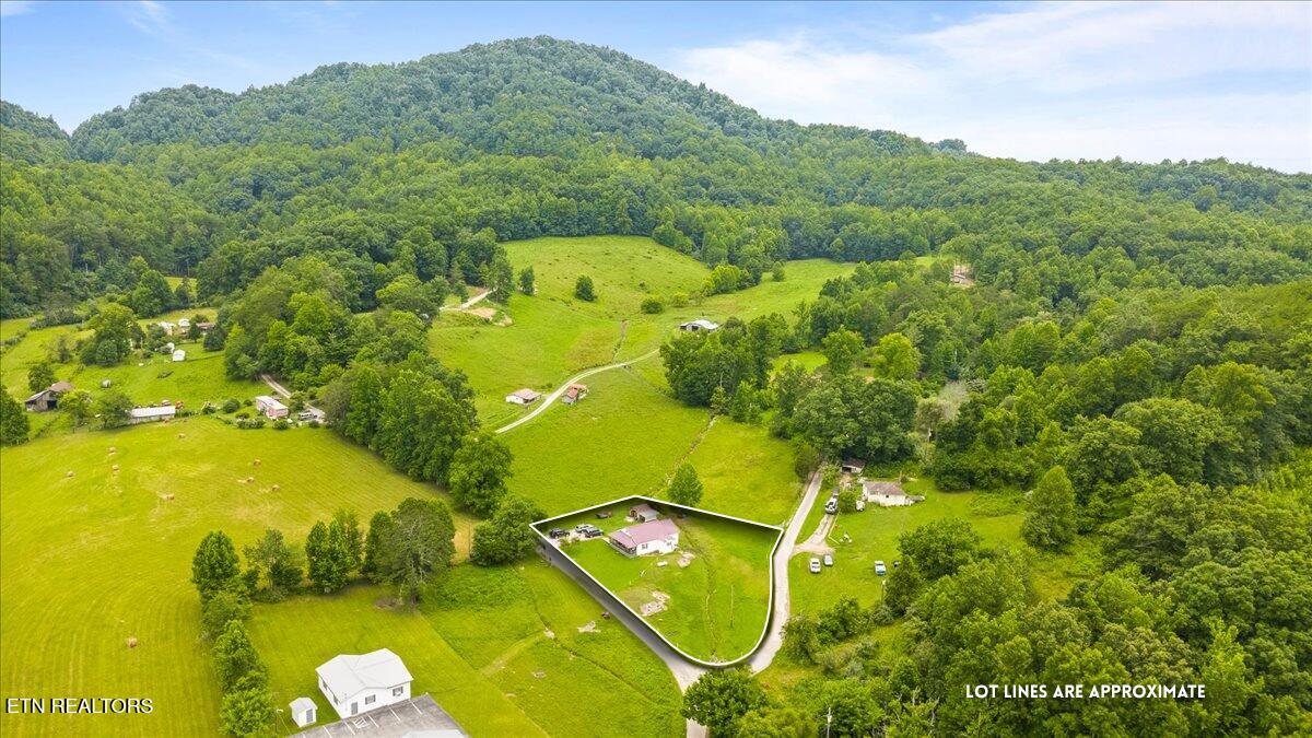 982 Little White Oak Road Duff, TN 37729 - Photo 2 of 18 982 Little White Oak Rd