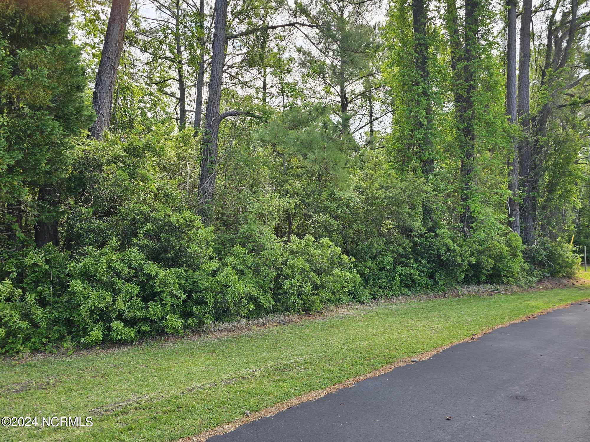 200 Sheppards Landing Washington, NC 27889 - Photo 21 of 26 010