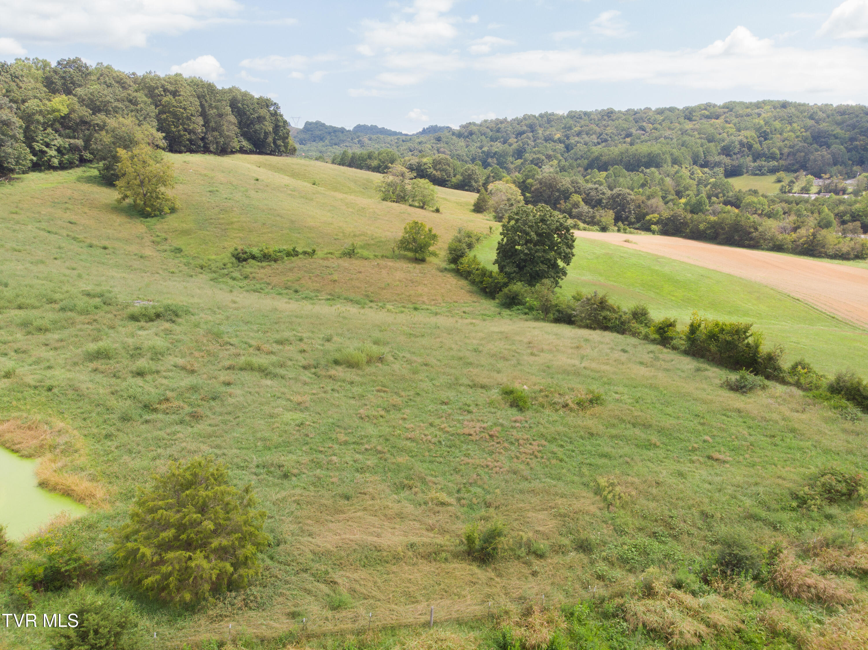 2710 Jearoldstown Road Chuckey, TN 37641 - Photo 19 of 48 DJI_0590