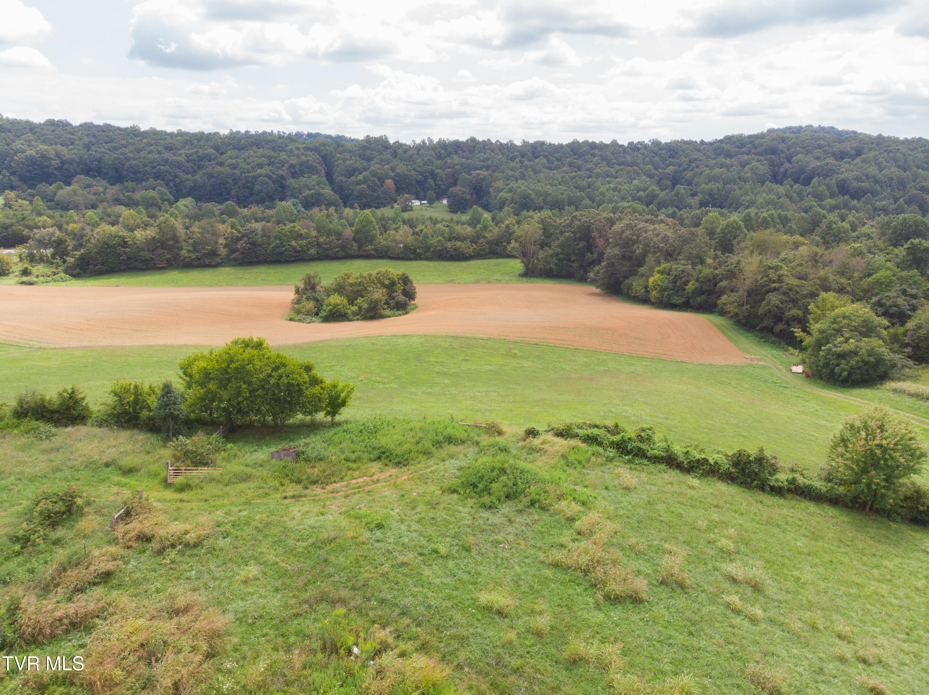 2710 Jearoldstown Road Chuckey, TN 37641 - Photo 21 of 48 DJI_0592