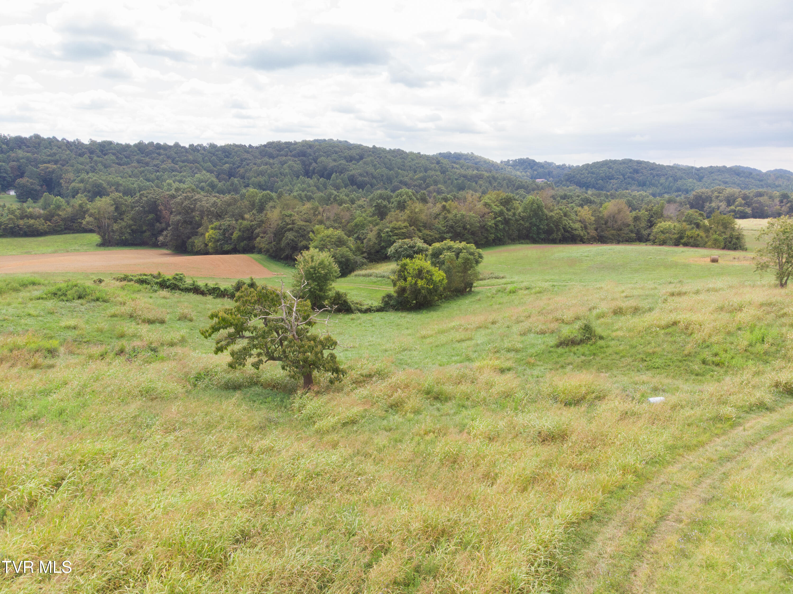 2710 Jearoldstown Road Chuckey, TN 37641 - Photo 26 of 48 DJI_0597